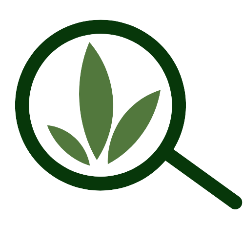 Sansfinder Logo